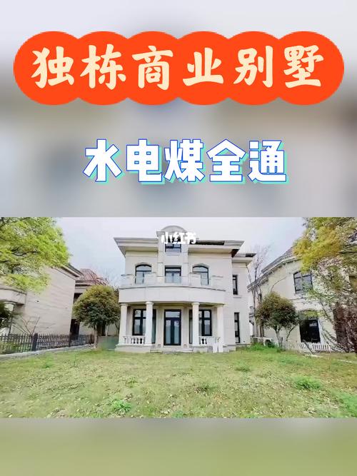 4位总价:@小岚好房信息咨询#上海豪宅  #独栋别墅  #上海商业别墅
